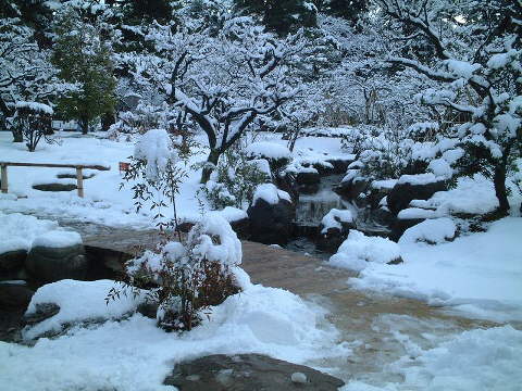 japanese_winter